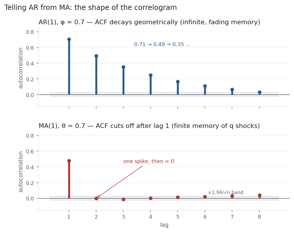 An AR(1) ACF decaying geometrically above an MA(1) ACF that spikes once then cuts to zero