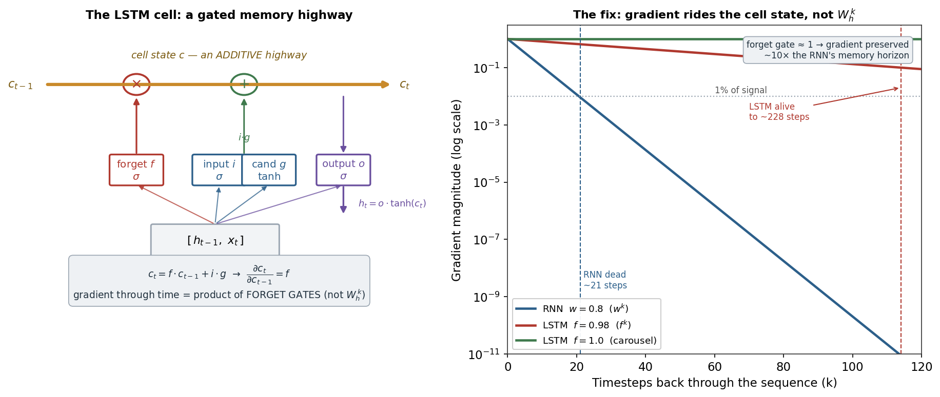 An LSTM cell with forget, input and output gates on a cell-state highway beside a plot where the LSTM's gradient survives far longer through time than an RNN's