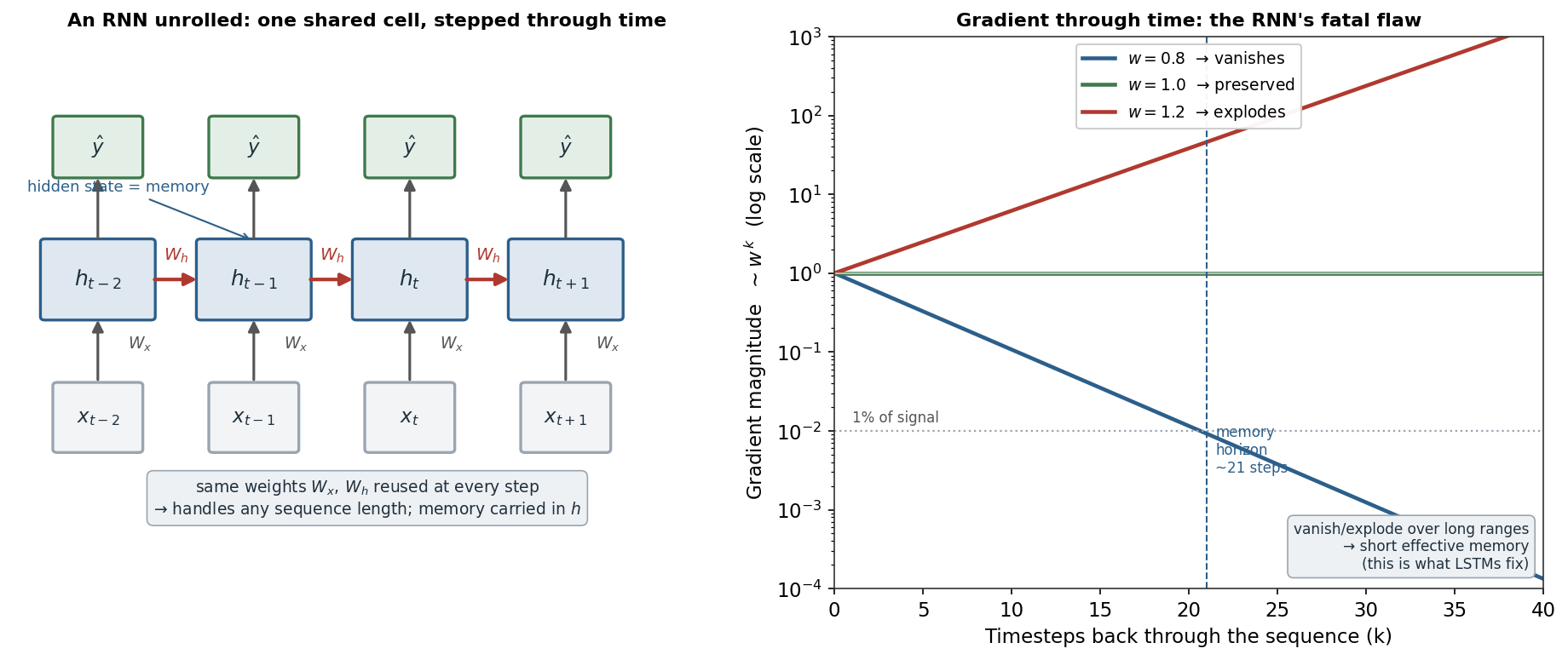 An unrolled RNN sharing weights across timesteps beside a log-scale plot showing the gradient through time vanishing, staying flat, or exploding with the recurrent weight